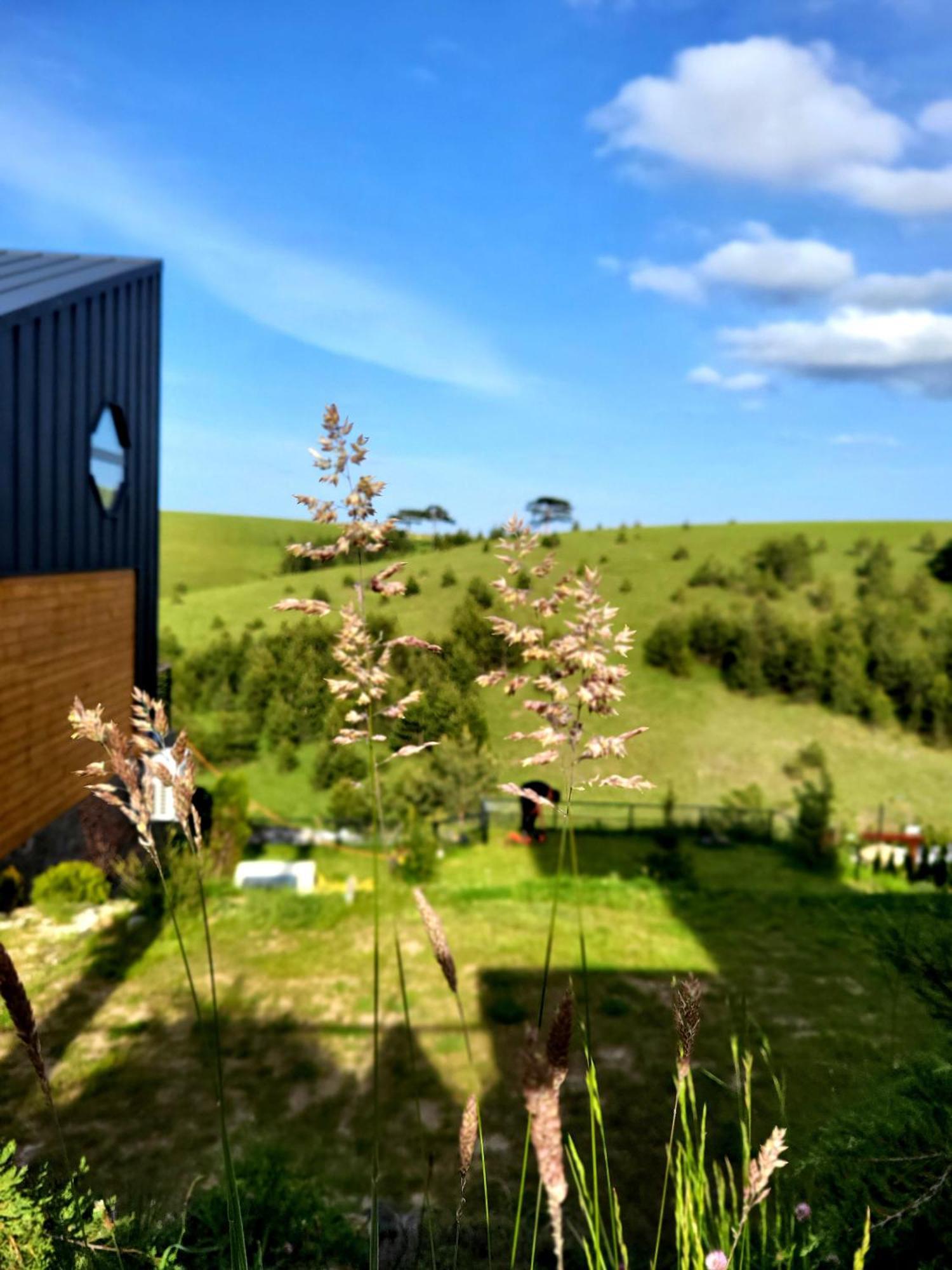 Huut Villa Zlatibor Exteriör bild