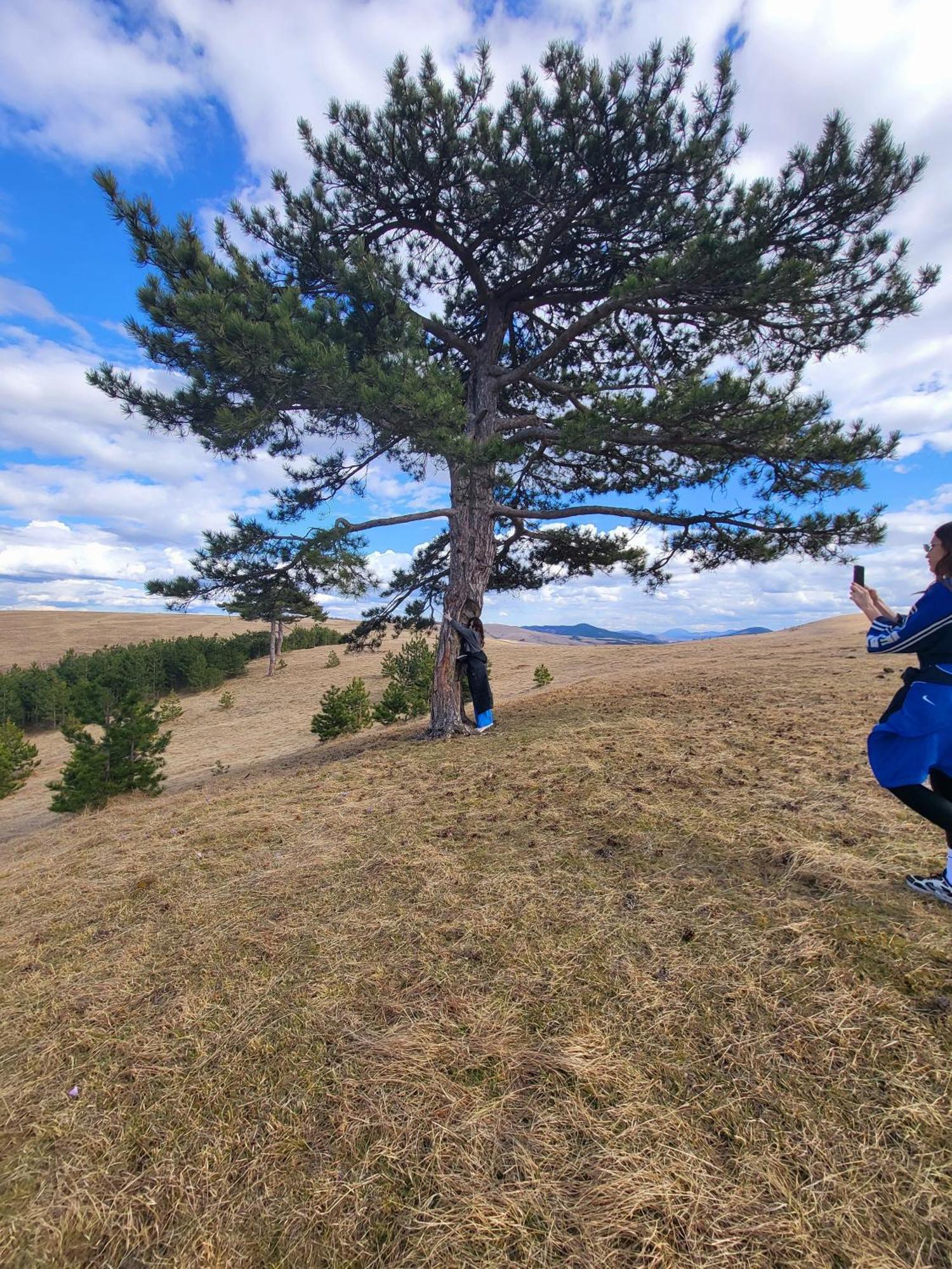 Huut Villa Zlatibor Exteriör bild